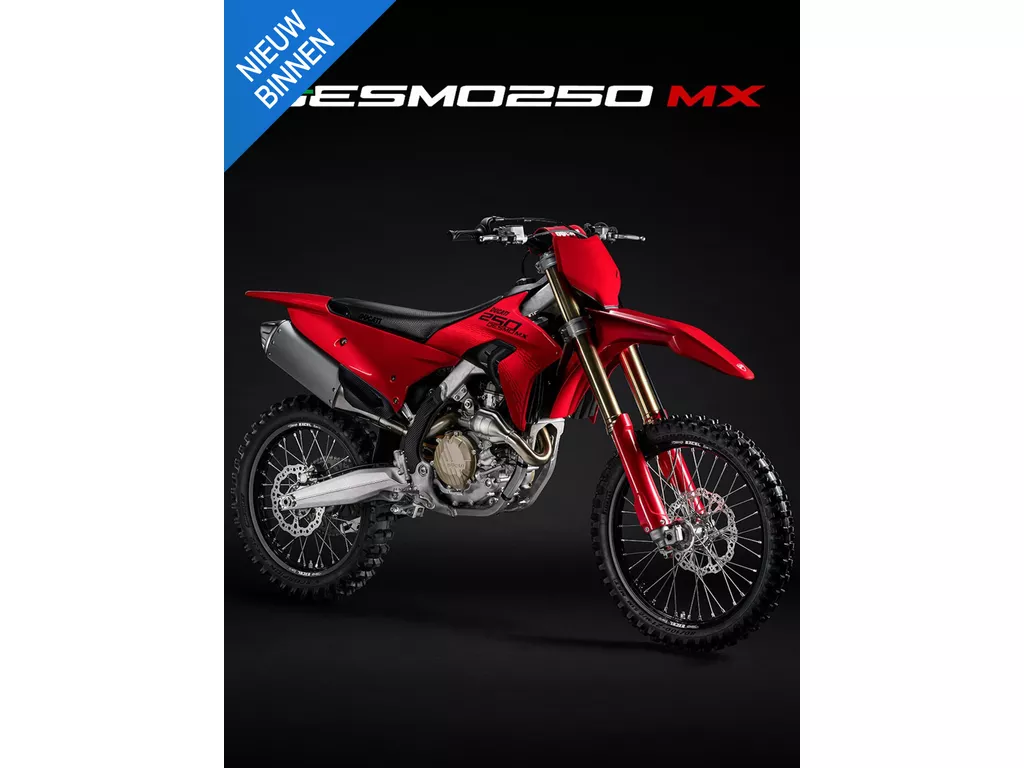 Ducati Desmo 250 MX