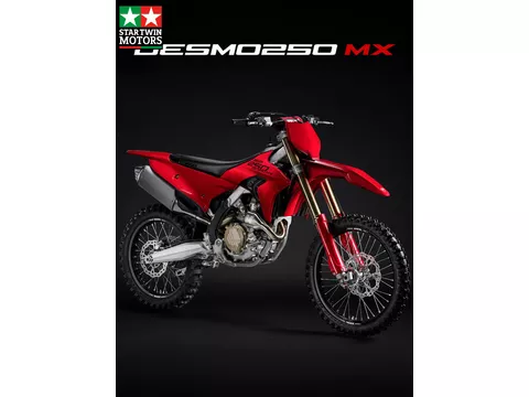 Ducati Desmo 250 MX